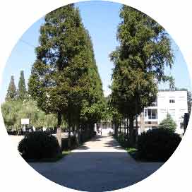 洛阳市教师进修学校